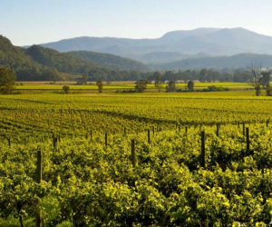 Northeast Health - Wangaratta