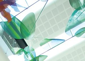 Victorian Forensic Paediatric Medical Service (VFPMS)